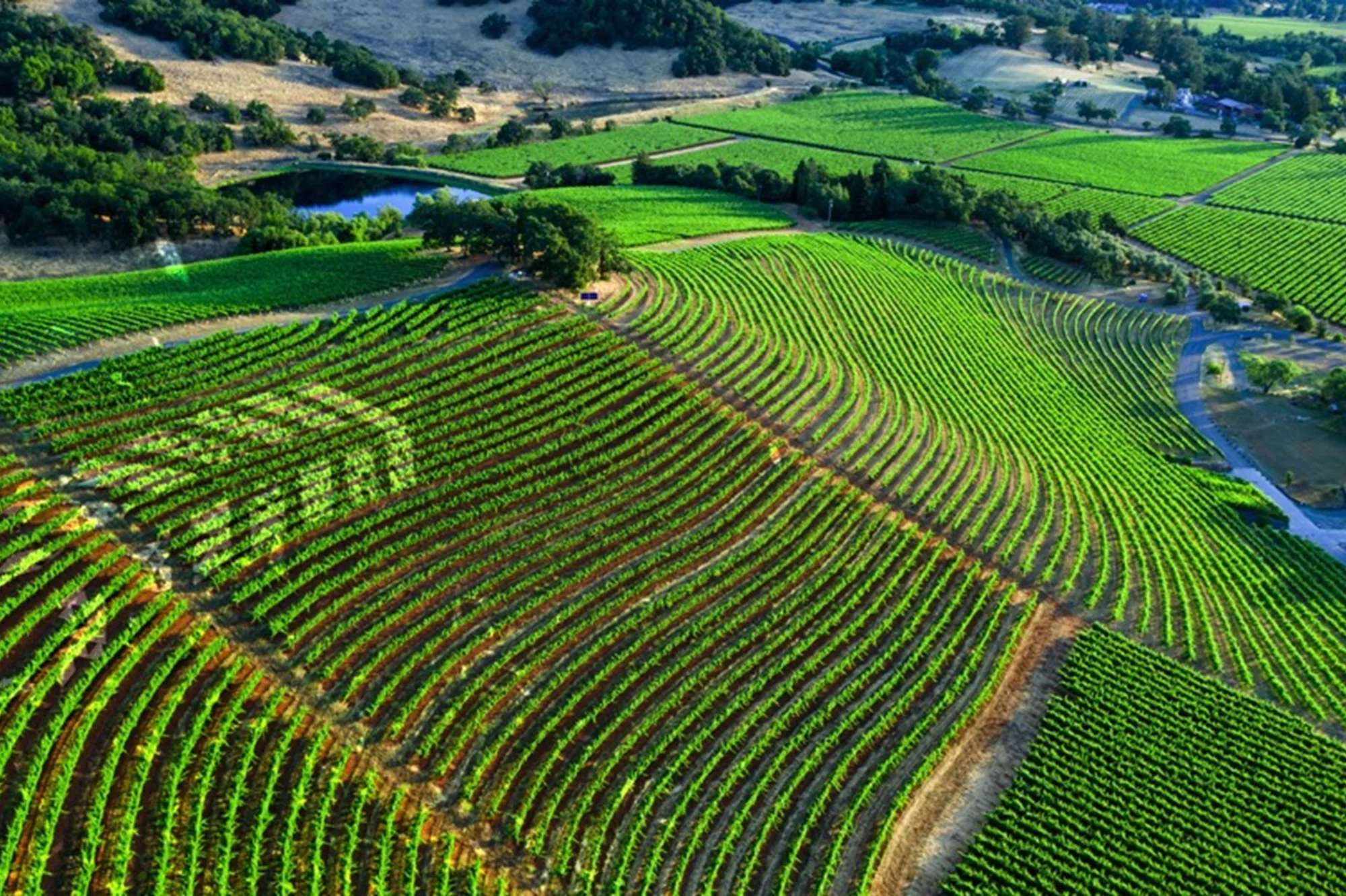 Interconnected Farming Operations