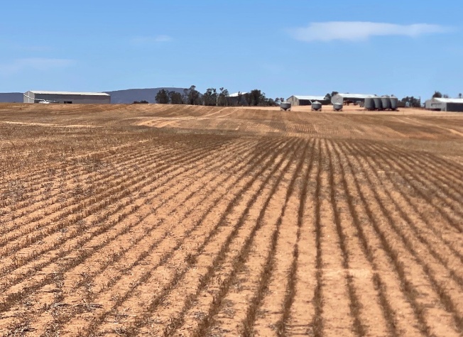 Stubble retention reducing erosion risk at Kooma View