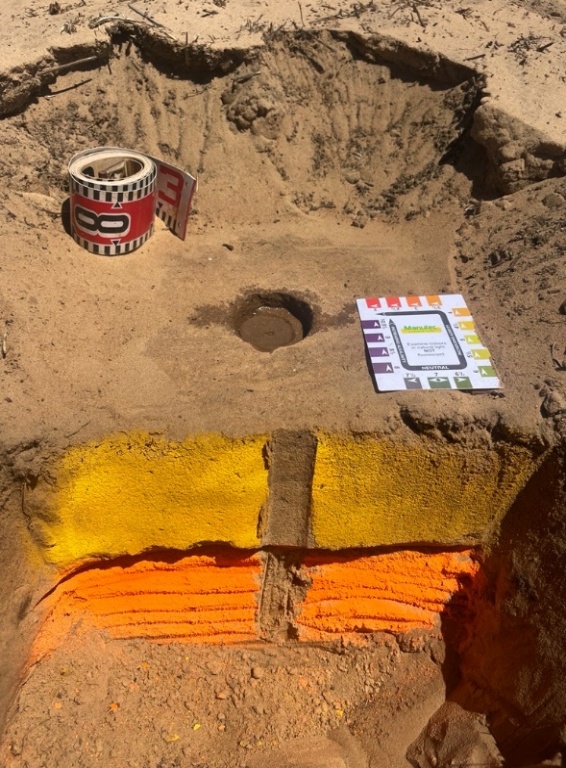 Non-wetting fine sand cross-section in Jacko's Paddock showing dye-tested repellency layers