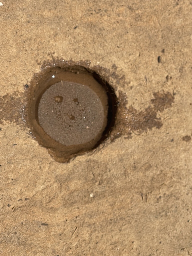 Close-up of water repellency in non-wetting sand at Kooma View